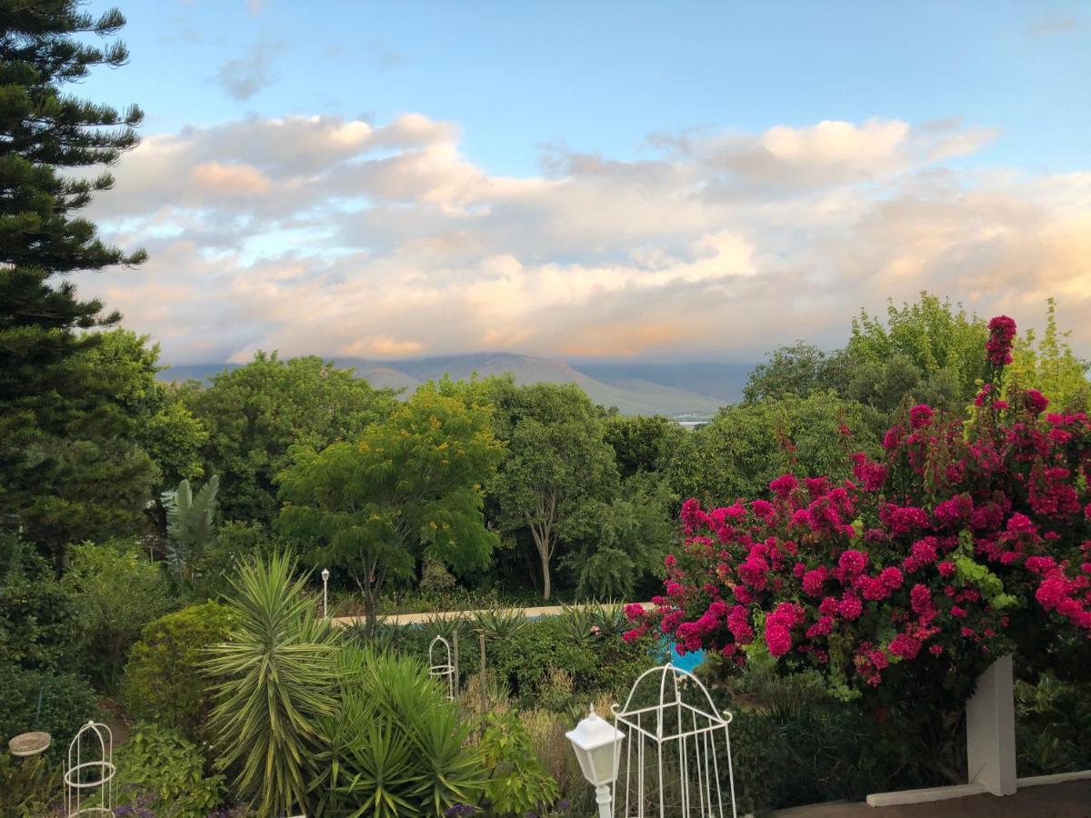 Alba House Guest House Paarl Exterior photo
